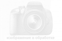 Viper CT 4ZJ51 (4 датчика черный)  - 1
